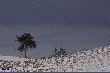 Wind & Wuthering . . .
