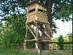 ambona "Bogdanw dwch"