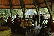 Go�cze Polskie i Ogary Polskie 2009
Kilka uj�� z XI kursu dla Go�czych Polskich i Ogar�w Polskich w Przechlewku