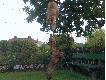 Dla zabicia nud�w... ;)))
