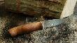 Moje no�e i lornetki
1) 
Klinga-  AE Damascus trapper 95 flat, twardo�� 60 HRC,  wymiary g�owni- 95x25x4mm, d�ugo�� ca�kowita- 210mm.
R�koje�� z drewna stabilizowanego alder root brown.
Pochwa ze sk�ry naturalnej.

N� oraz pochwa s� wykonane przez mojego Tat�, za co mu serdecznie dzi�kuj�!!

2)
N� Frankonia, stal 440C, pochwa z naturalnej sk�ry.

3)
N� Winchestera, pochwa z materia�u.

4)
Steiner Night Hunter 8x56

5) 
Leica Geovid 8x56

6) N� mojego Taty.
Klinga-  AE Damascus Taiga, twardo�� 60 HRC, 
R�koje�� z hebanu pr��kowanego, z p�ytkami z alpaki oraz rogu bawolego.
Pochwa ze sk�ry naturalnej.
