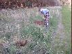 Moja pierwsza ambona
K� "JELE�'' SUL�CIN OB-86  REJON -3










