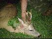 R�ne
Tutaj b�d� zamieszcza� r�ne zdj�cia.

Darz B�r !!

Darek 