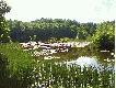 le�ny staw