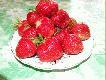m�j deser
