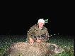dzik
b�r darzy�..