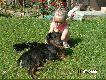 Jagi i go�cze
Urodzone 01 lipca 2009