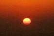 Kozio�ki....
M�j pierwszy w tym sezonie......i nast�pne...