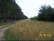 Pierwsza zwy�ka
Pierwsza zwy�ka postawiona przeze mnie i Tookiego009. Mia�a by� lekka, a si� okaza�o, �e w czterech ci�ko by�o j� wnie�� na przyczep�