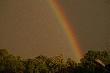 T�cza
...w kilka minut po burzy...ogromna , nie spos�b by�o uj�� j� w ca�o�ci...