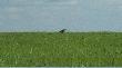 NATURA
To co lubimy ogl�da�...