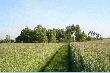 Moje tereny
Wyjscie na porann� ros�