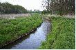 �owisko
