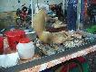Fast  food po chi�sku
W kilku prowincjach Chi�czycy tak rozwi�zuj� problem bezpa�skich ps�w .