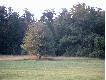 �owisko
