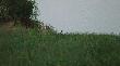 Z l�du i wody
