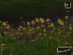 DeerHunter
Mo�e to i stare ale nadal dobrze si� przy tym bawi� :)