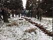 Moje polowania
Dzi�ki synowi go zobaczy�em.