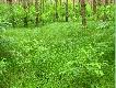�owisko