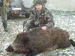 pierwszy sezon
My�liwy od 2008 roku. Cz�onek Ko�a �owieckiego "�o�" od poczatku roku 2009