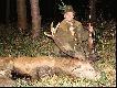 18.09.09r czternastak nieregularny 7x64 geco jak sta tak zosta DB