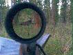 Strza�y aparatem
