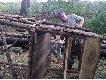 budowa zwy�ki
Trzeba zbudowa� zwy�k� tam gdzie nie idzie podej�� cwanej zwierzyny..