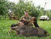 Sezon 2009
Drugi dzik z pi�ciu w tym sezonie.....i zn�w Helmut!