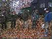Polowanie Hubertowskie w K�,, Trak"
Witam
 
W tej galerii przedstawiam zdj�cia z Uroczystego Polowania Hubertowskiego w Kole �owieckim ,,Trak" z Bydgoszczy.Pogoda dopisa�a,atmosfera by�a wspania�a i zwierza pe�ne mioty.Na pokocie 1 �ania jelenia pozyskana przez Kol.�owczego i 3 dziki pozyskane przez pozosta�ych Koleg�w.
Polowanie zako�czy�o si� uroczystym obiadem i kolacj�,kt�ra trwa�a do p�nych godzin nocnych.
Dzi�kuj� bardzo Zarz�dowi Ko�a z zaproszenie!!!
Darz B�r
LEON
