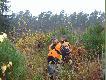 Dewiz�wka
Dnia 13.11.09r w Naszym Kole �owieckim nr 28 "DROP" Pozna�, odby�o si� polowanie Dewizowe,tym razem go�cili�my dwunastu my�liwych z Danii. Pogoda dopisa�a,atmosfera r�wnie� . Ostatecznie na pokocie znalaz�o si� pi�tna�cie dzik�w,trzy sarny kozy i lis.
.