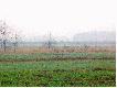 Polowanie Hubertowskie K.� ,,Przepi�rka'
