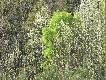 �owisko
