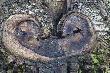spacer po �owisku...
Kr�tki wypad do �owiska...kilka fotek....i  te� kilka chwil na polowanie....
