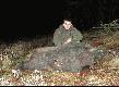 listopadowy odyniec
Listopadowy odyniec -115 kg. Szable 21 cm 