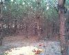 wnyki
czego to k�usownicy nie wymy�l� ...