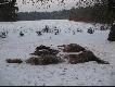 G�od�w 19.12.2009r.
