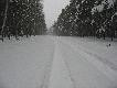 Ostatnia zbior�wka na grub� 09.01.2010
