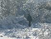Trudno dokarmia� zim� na Jurze
Trudno tej zimy dotrze� z karm� do wszystkich podsyp�w i karmisk ale ja z �on� przynajmniej pr�bujemy;-))