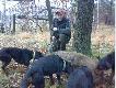 Troch� Fotek z polowa� zbiorowych
Fotki robocze robione telefonem