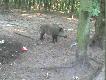Gdyby idioci �mieci nie wrzucali, to nawet sympatyczne zdj�cie by by�o... ehh :/