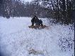 DOKARMIANIE STYCZE� 2010
W tym roku jest bardzo ci�ka zima.