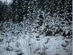 �owisko w r�nych porach roku
