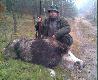moje polowania
Czasami �w. Hubert daje tylko popatrze�. I to te� jest pi�kne w naszym hobby!!!