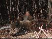 Gry Hamardaban-wiosna 2007.Mi i ja
