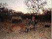 Namibia2006-eland
