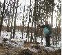 jest kiszonka jest siano jest owies, trza posoli 