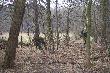 Sprz�tanie  �owiska....
Dzisiaj ,Ci z cz�onk�w mojego Ko�a kt�rzy mogli,zjechali na sprz�tanie lasu  naszego �owiska zwanego "Winnic�" przylegaj�cego do p�tli autostrady A4. Troch� tego zebralsmy...na zdj�ciach wida�  jedn� cz�sc, co uzbiera�a  grupa w ktorej by�em...sami zobaczcie....