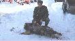 �w. Hubert obdarzy� mnie r�wnie� pi�knym �aciatym przelatkiem(40 kg)