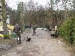 II Og�lnopolski Zlot Kopov�w - Z�ot�wek
Kilka fotek ze spotkania mi�o�nik�w Go�czych S�owackich (Kopov�w).
Spotkanie odby�o si� w dn. 19-21.03.2010r. w Z�ot�wku.