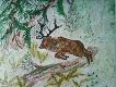 Rysunki
rysunki wykonane przez 14 letniego Paw�a